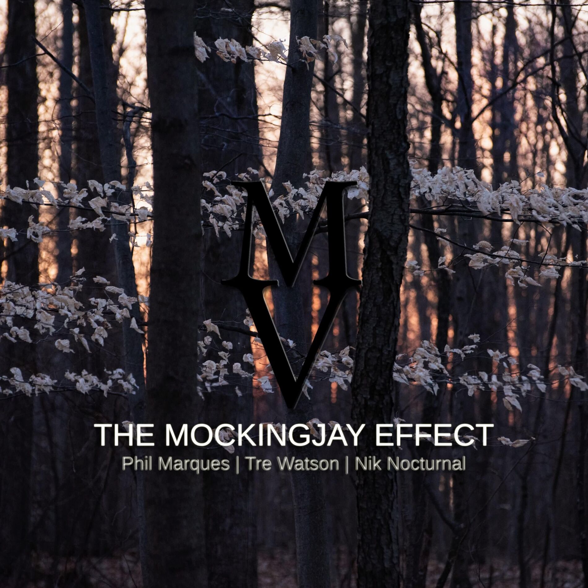 Album cover of The Mockingjay Effect (feat. Tre Watson & Nik Nocturnal)