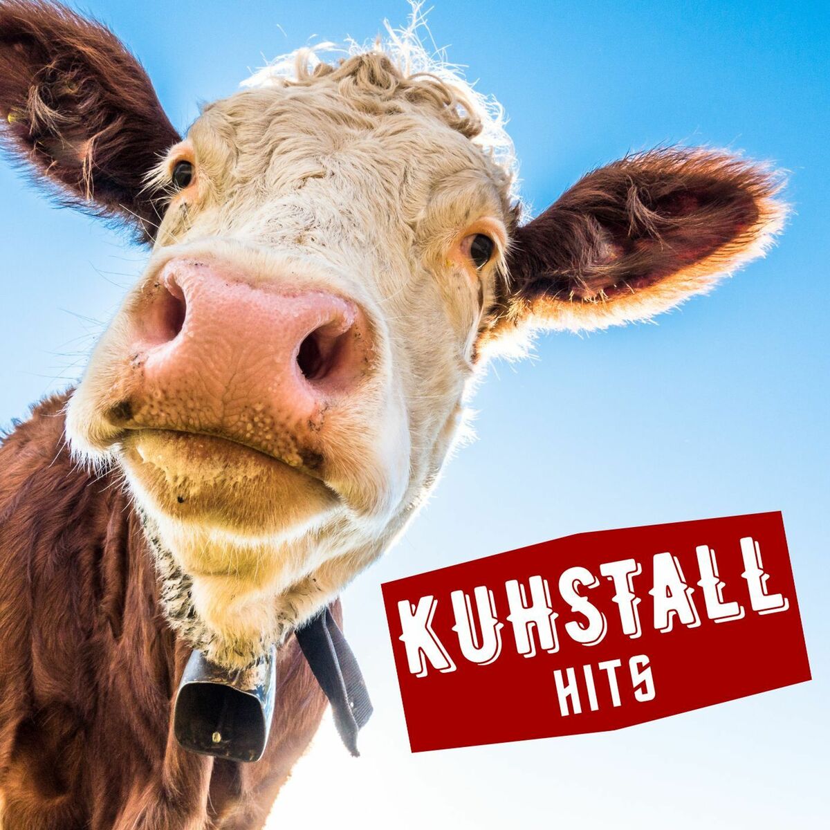 Album cover of Country Roads