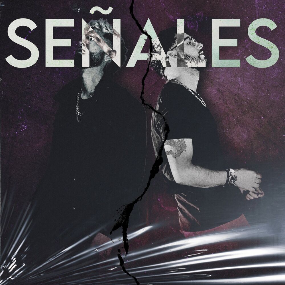 Picture of SEÑALES