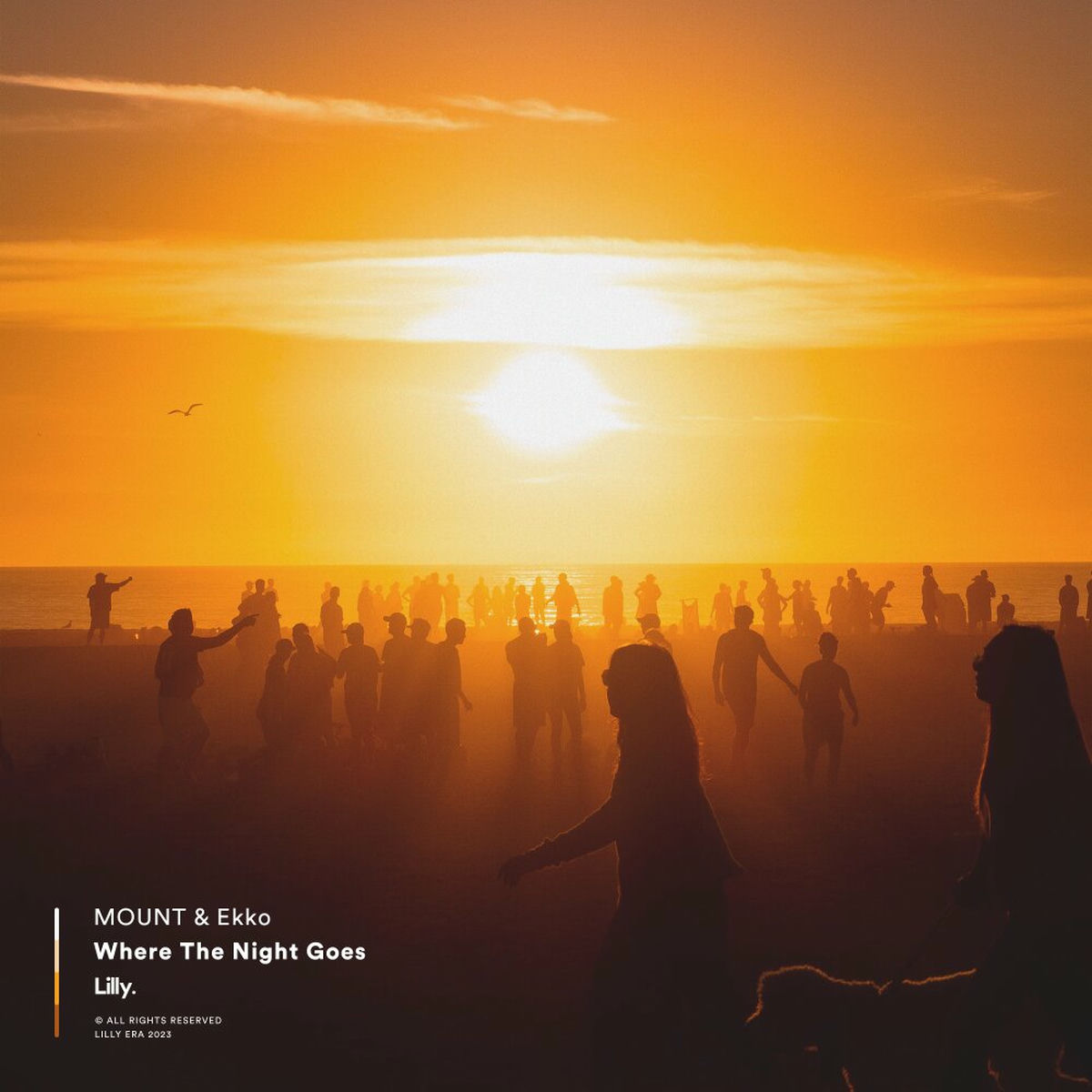 Album cover of Where The Night Goes