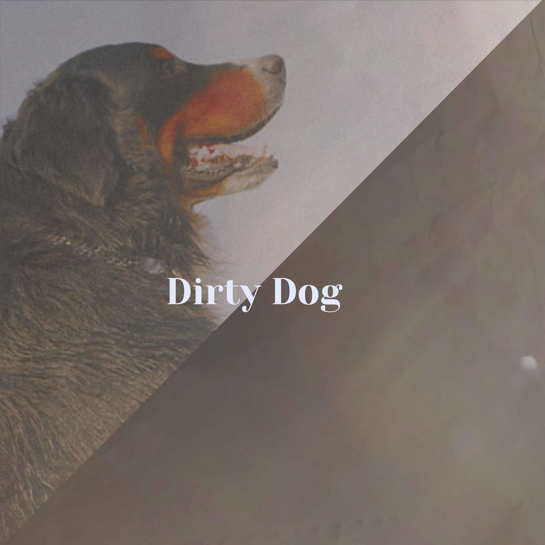 Album cover of Dirty Dog