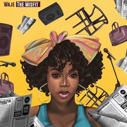 Cover of The Misfit