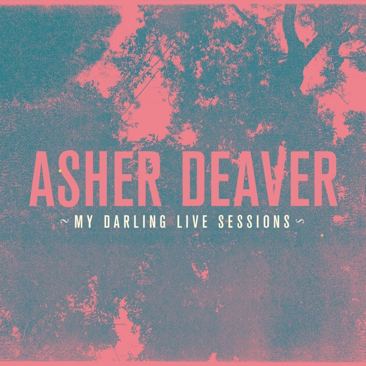 Album cover of My Darling Live Sessions