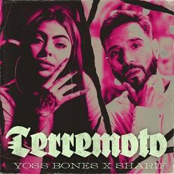 music cover