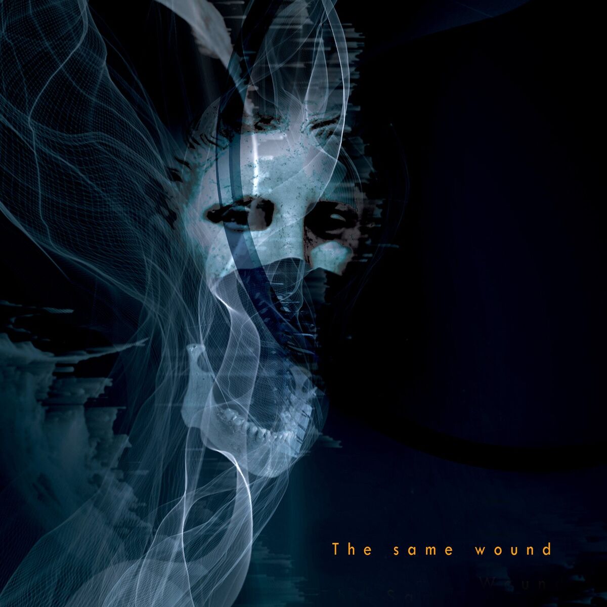 Album cover of The Same Wound