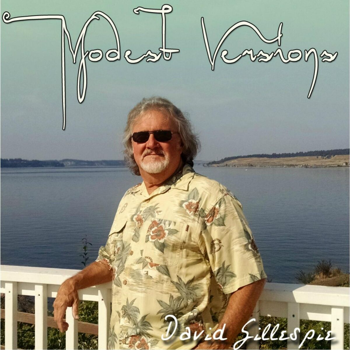 Album cover of Modest Versions