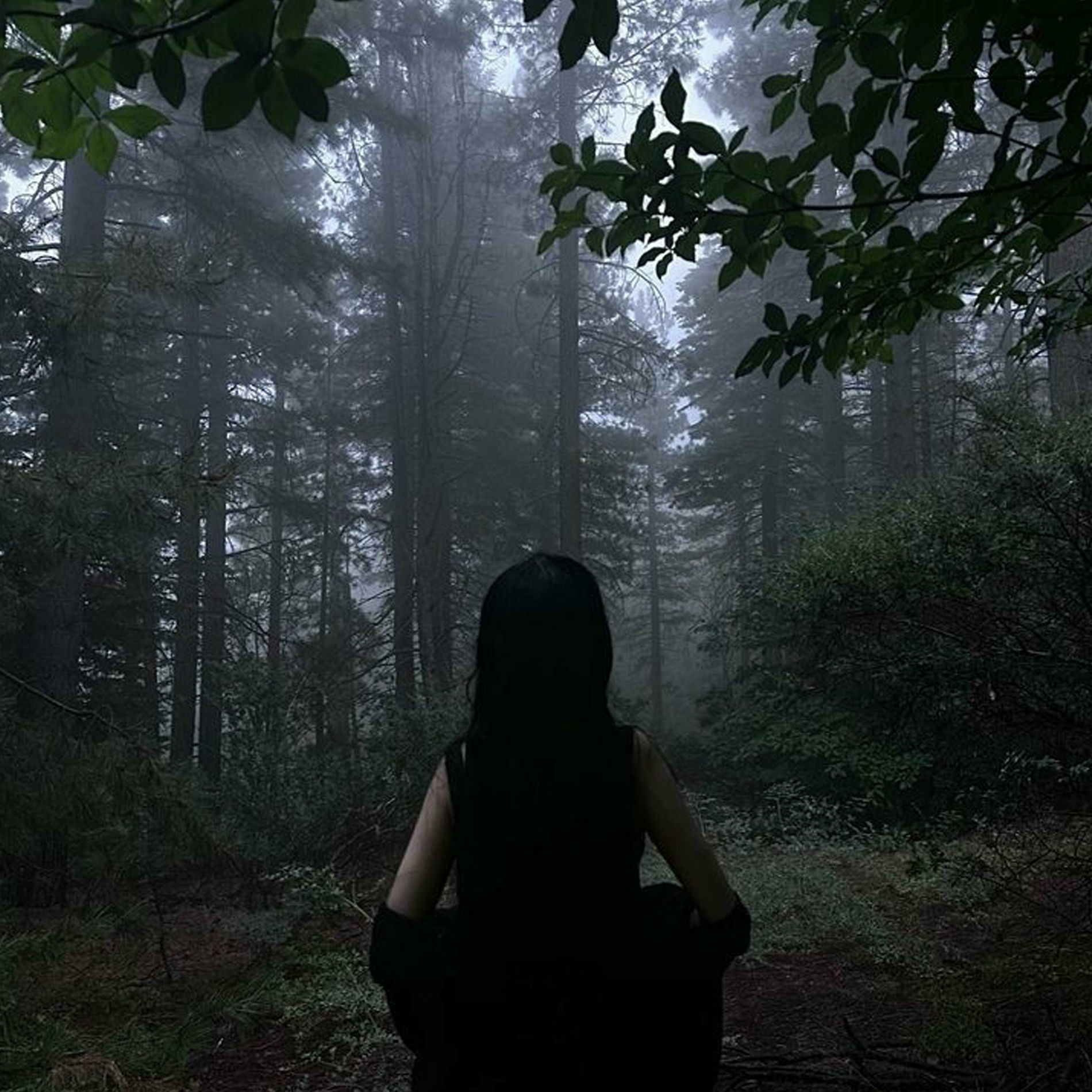 Album cover of Scheming (Instrumental Slowed)
