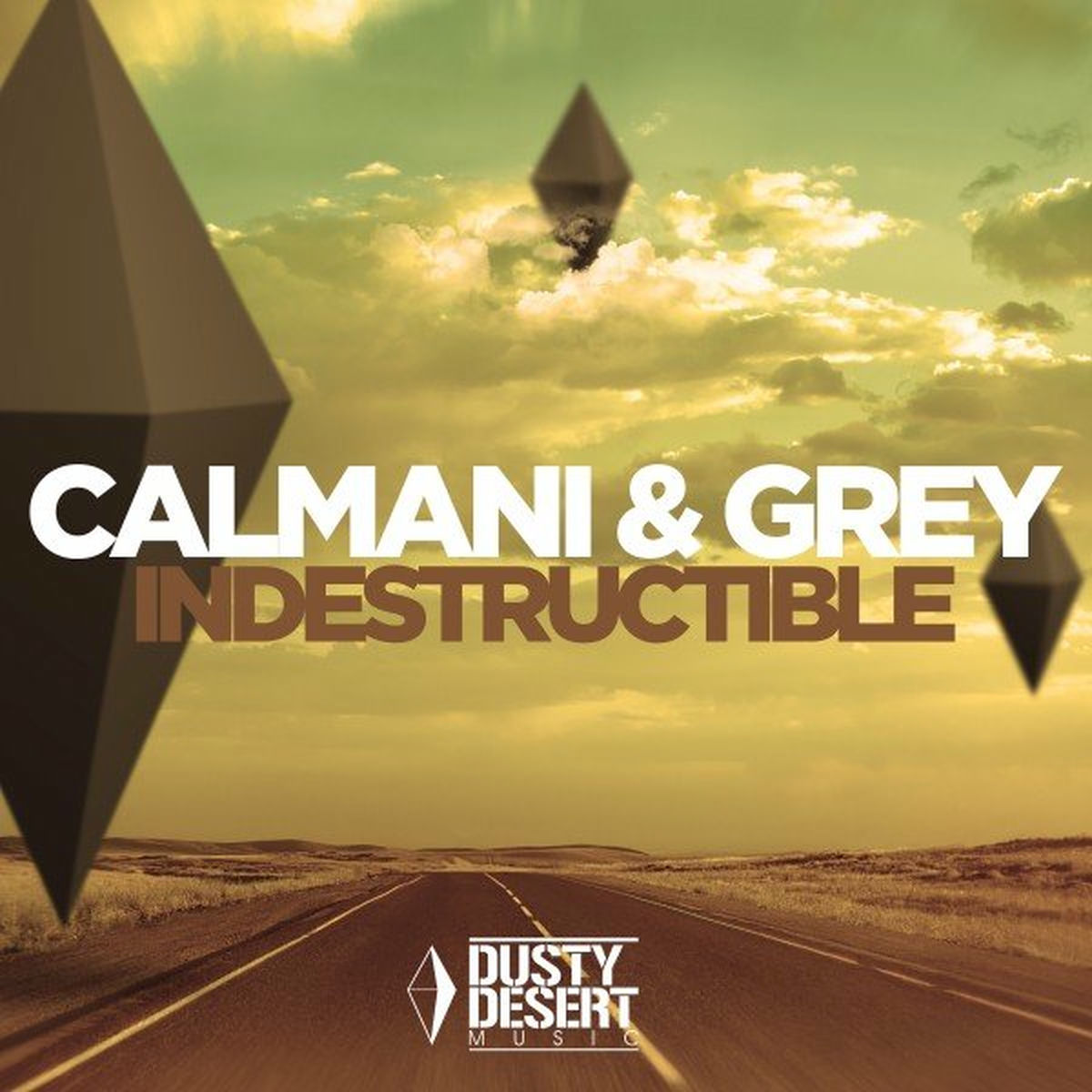 Album cover of Indestructible