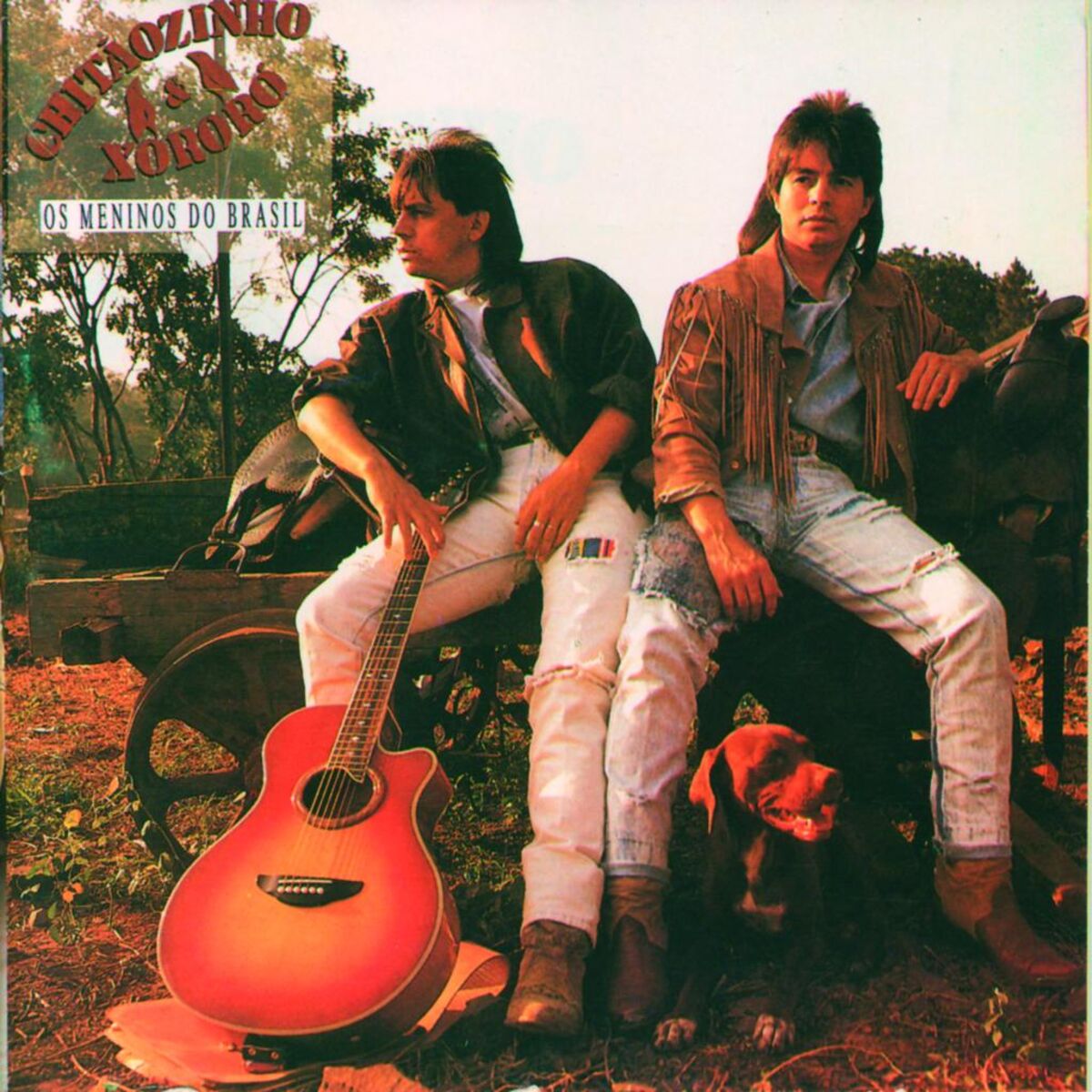 Album cover of Os Meninos Do Brasil