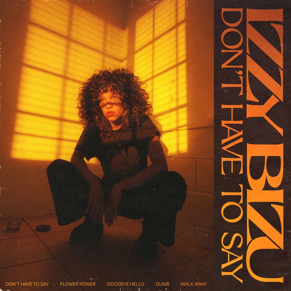 Picture of Don't Have To Say