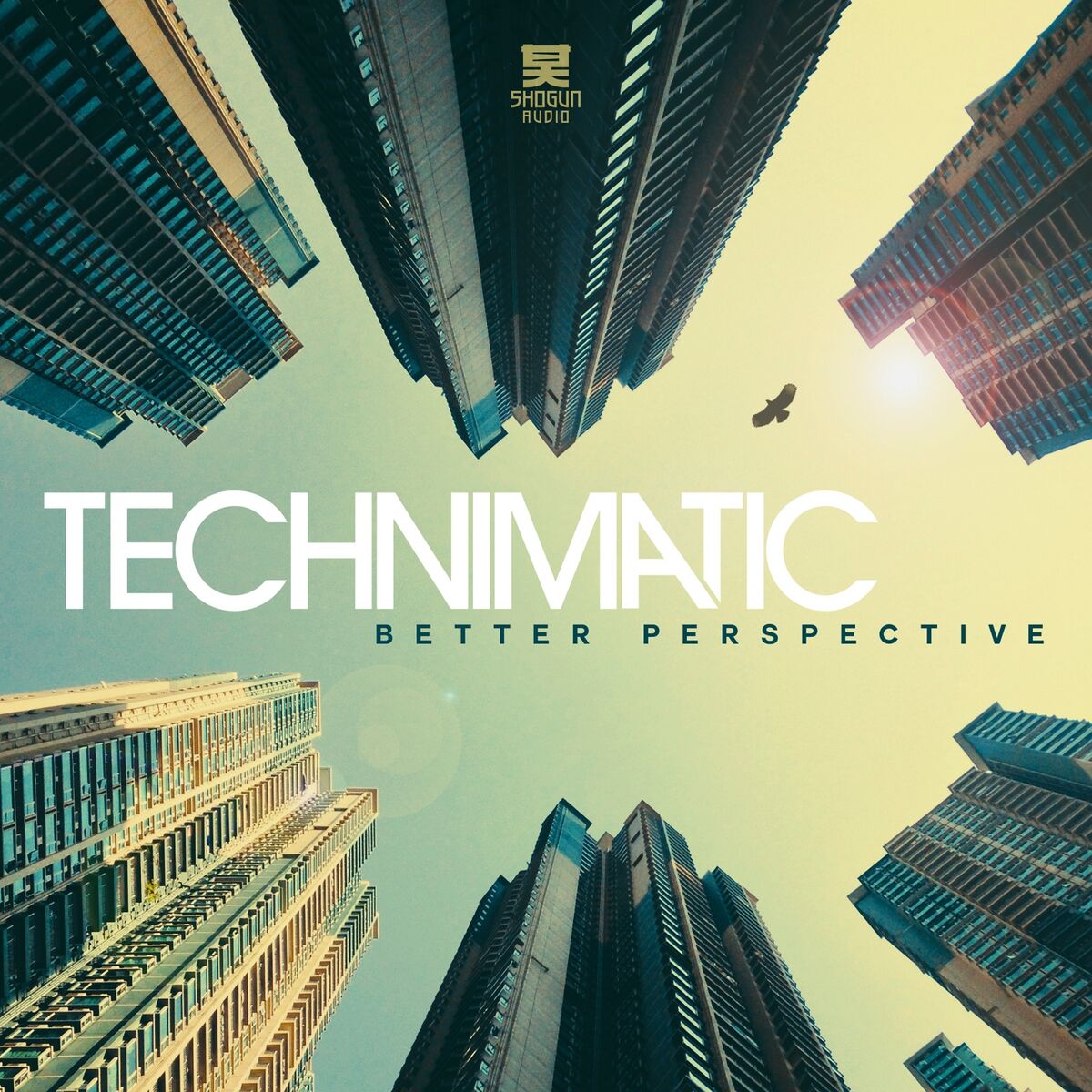 Album cover of Better Perspective