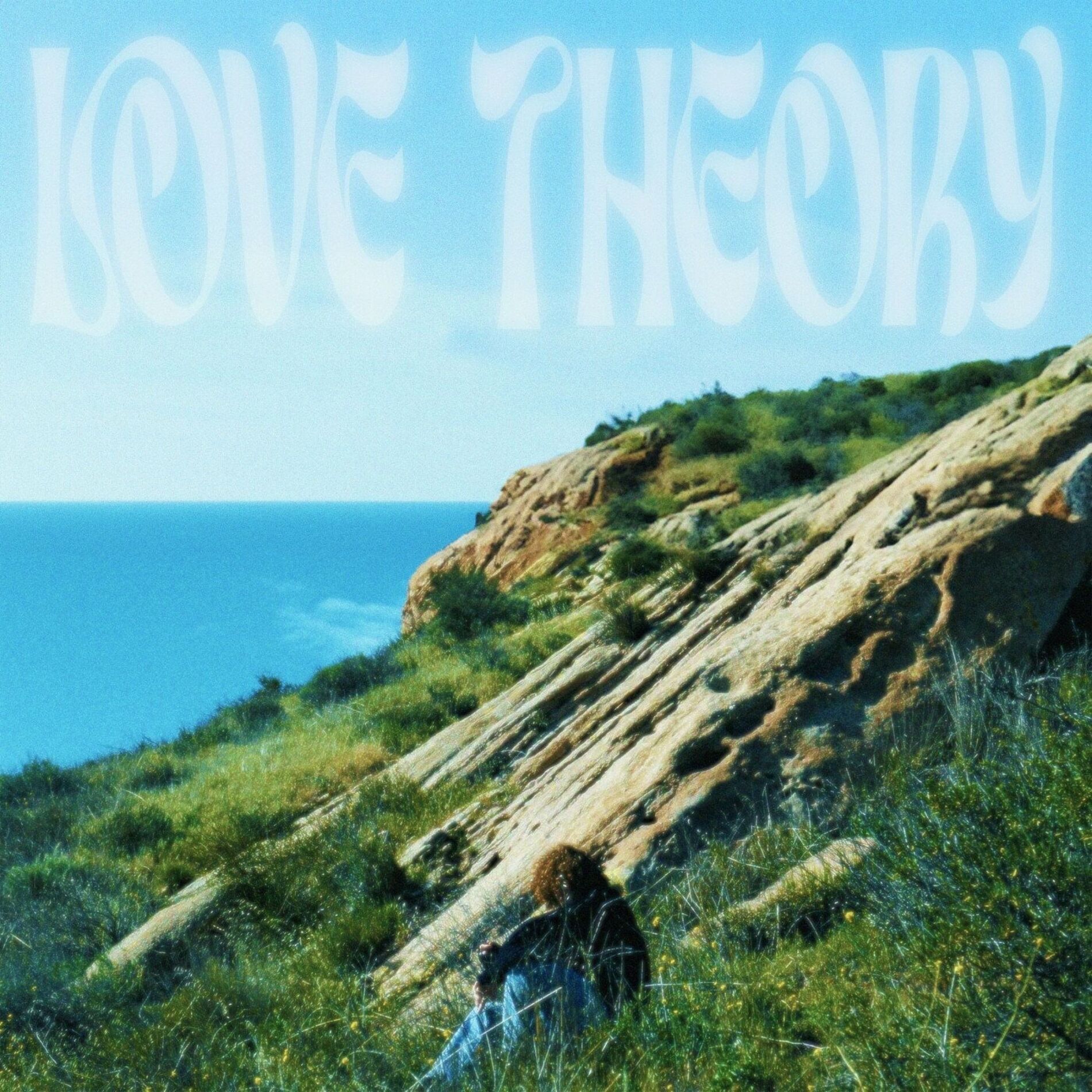 Album cover of LOVE THEORY