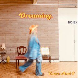 Cover of Dreaming