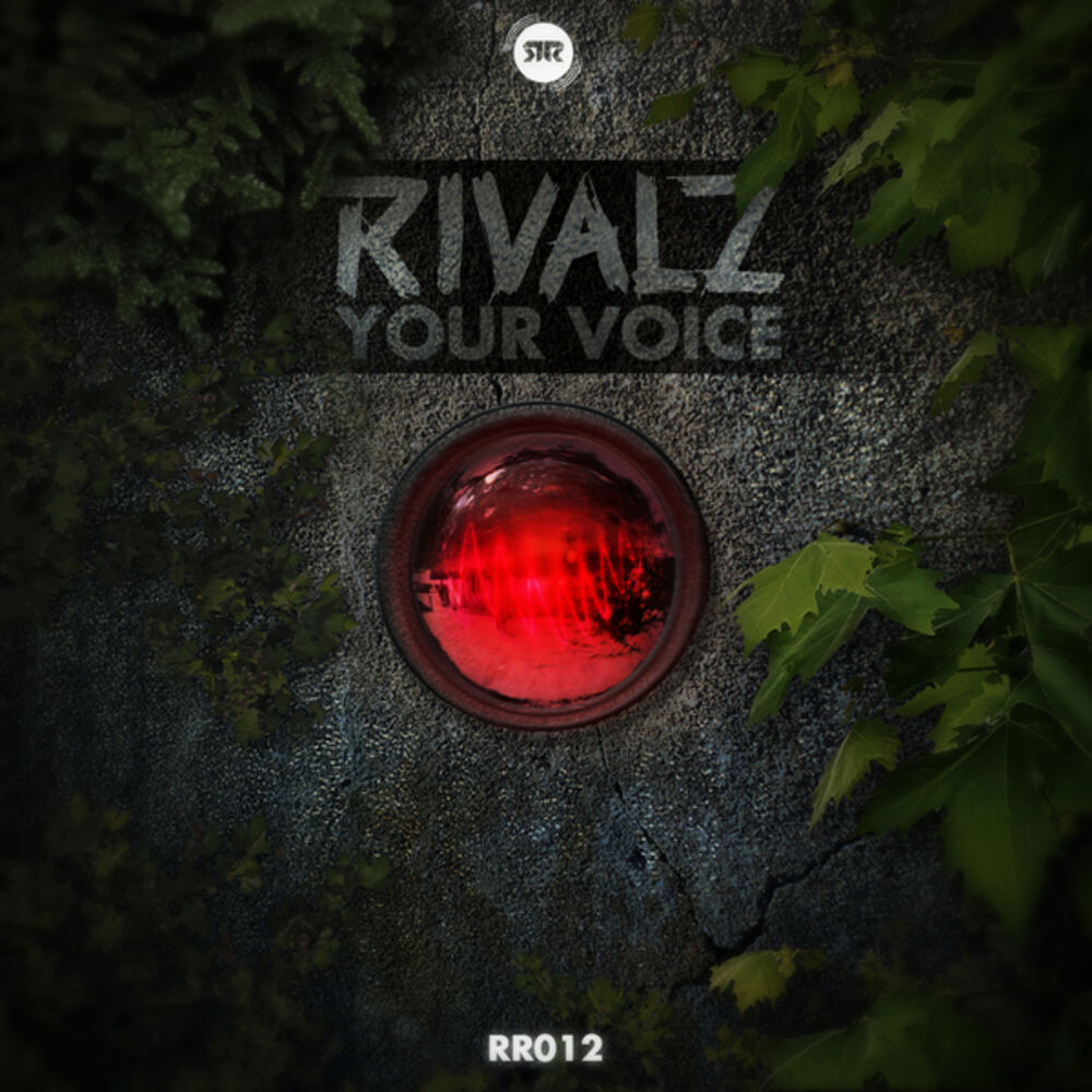 Picture of Your Voice