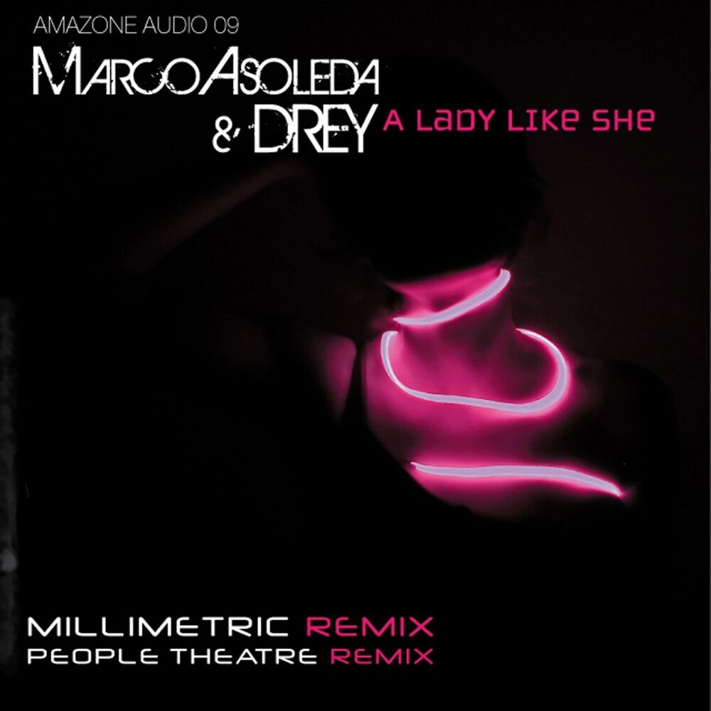 Picture of a Lady Like She