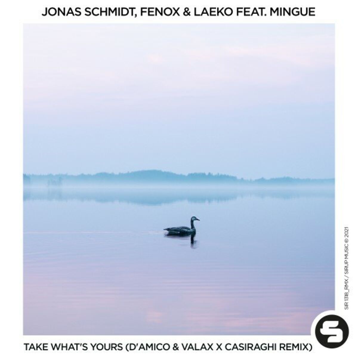 Album cover of Take What's Yours (D'Amico & Valax x Casiraghi Remix)