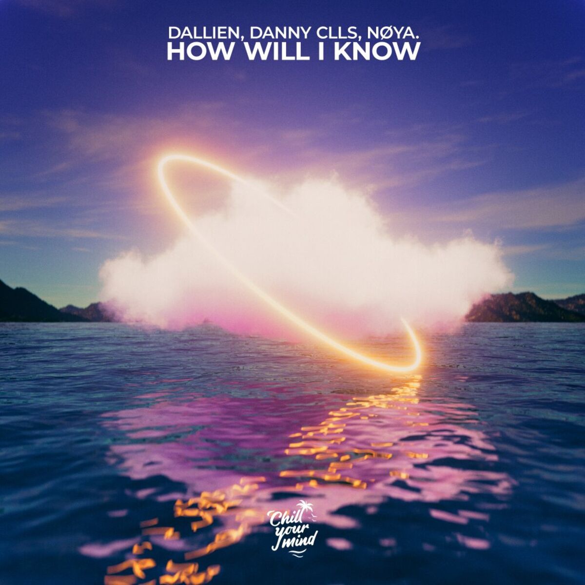 Album cover of How Will I Know
