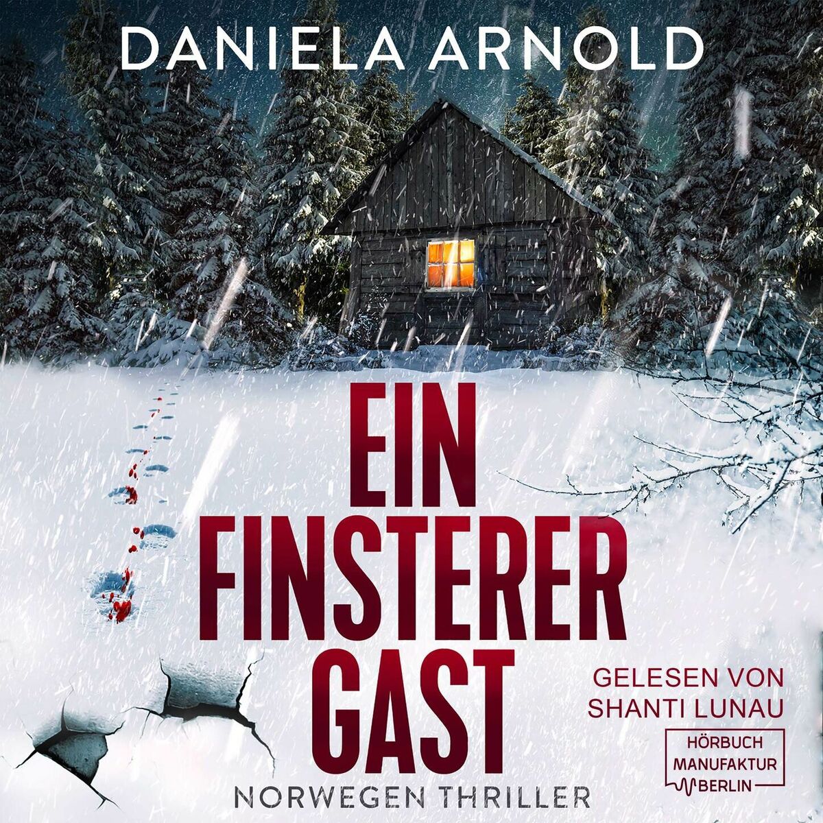 Album cover of Kapitel 1 - Ein finsterer Gast - Norwegen-Thriller