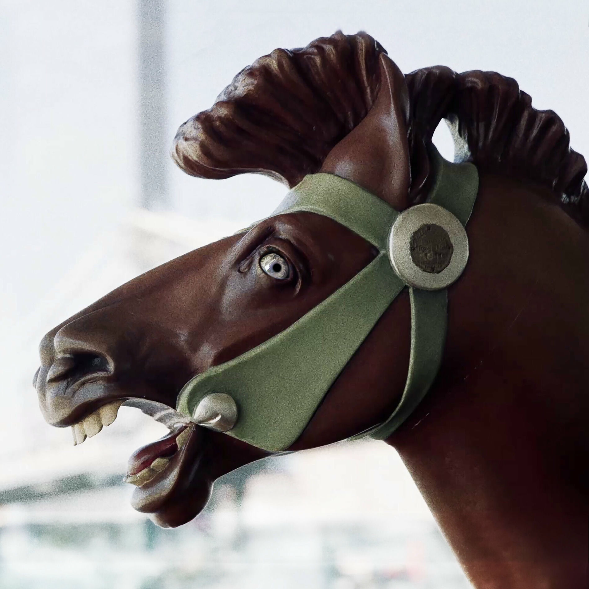 Album cover of Crazy Horses