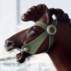 Cover of Crazy Horses