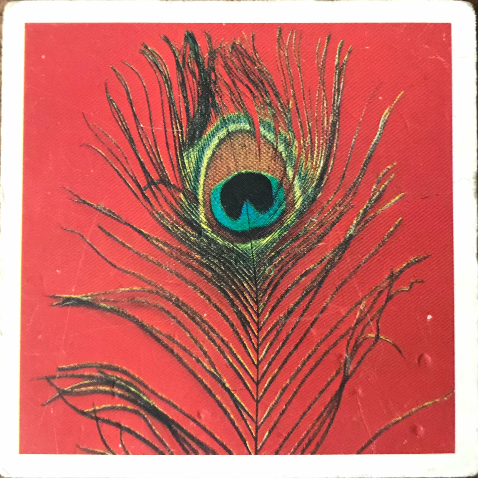 Album cover of Aldrig mer vår