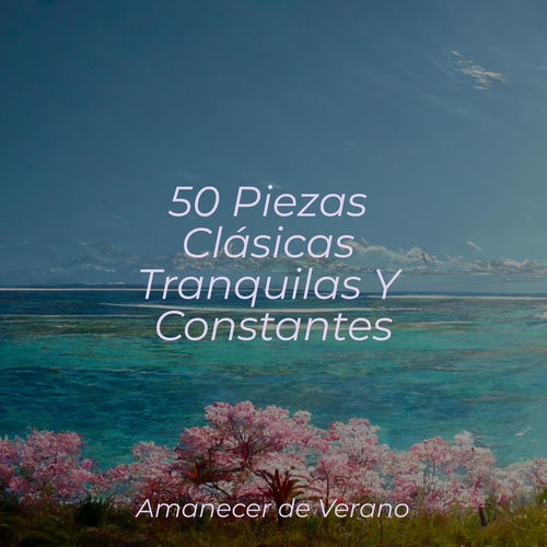 50 Piezas Clásicas Tranquilas Y Constantes