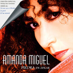 Cover of Piedra De Afilar (Reedición)