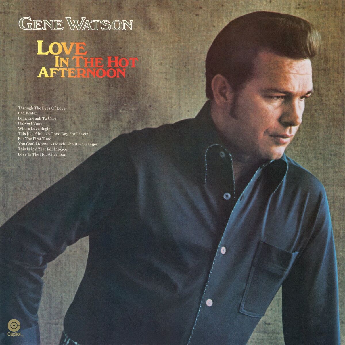 Album cover of Love In The Hot Afternoon