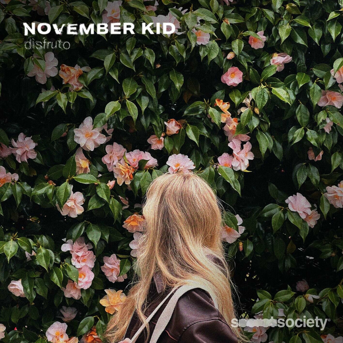 Album cover of disfruto