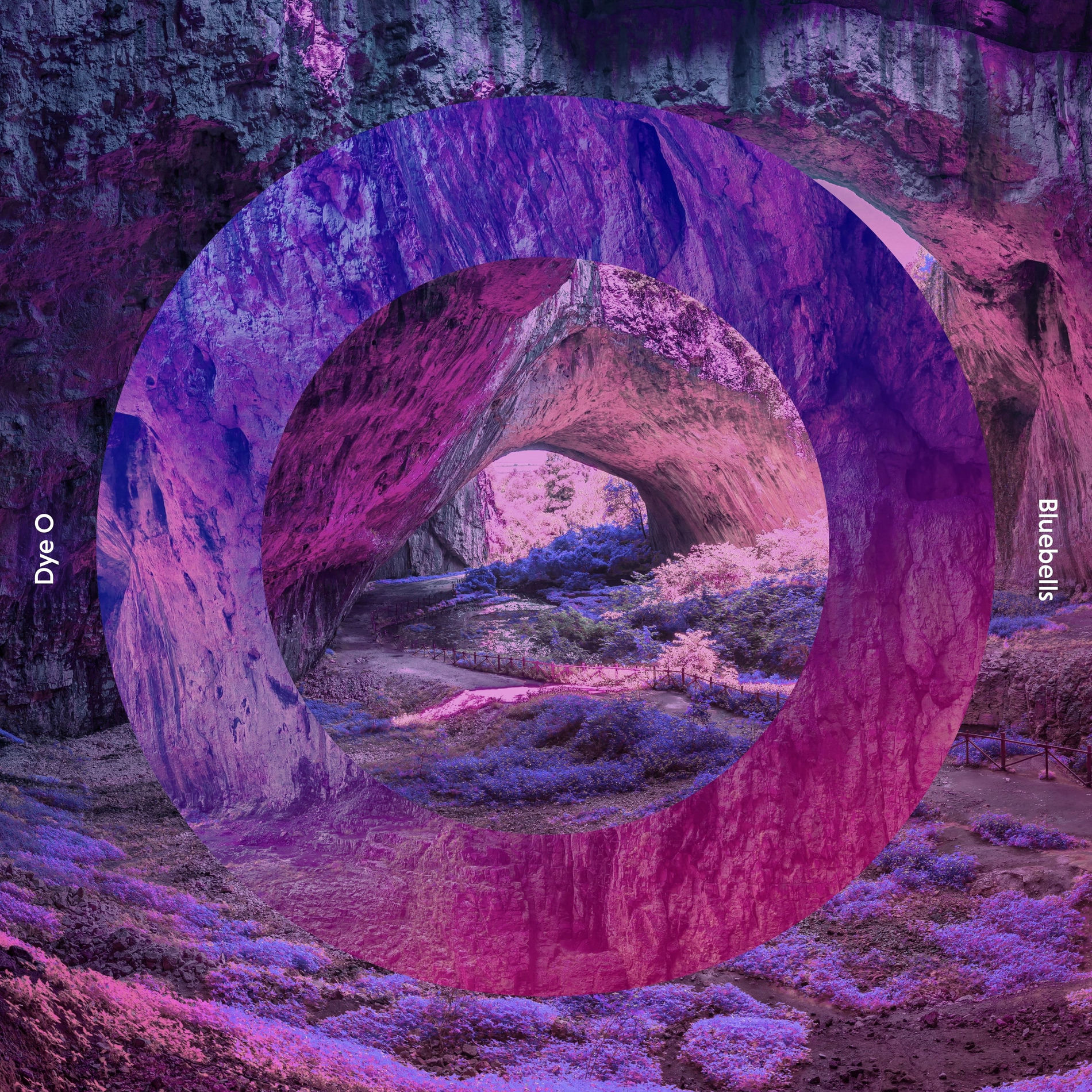 Album cover of Colors of You