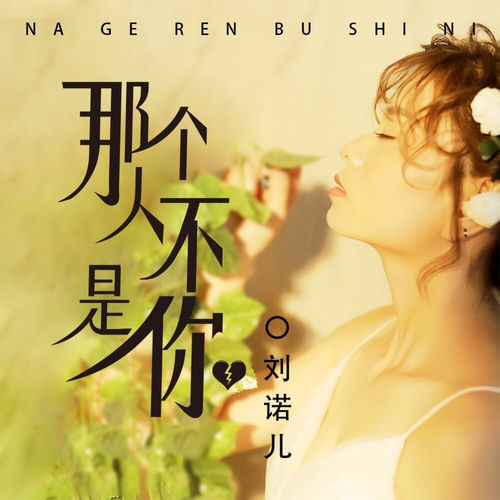 那个人不是你 (DJ版)
