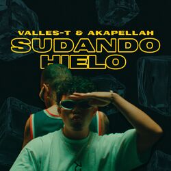Cover of Sudando Hielo