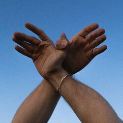 Cover of Blindflug