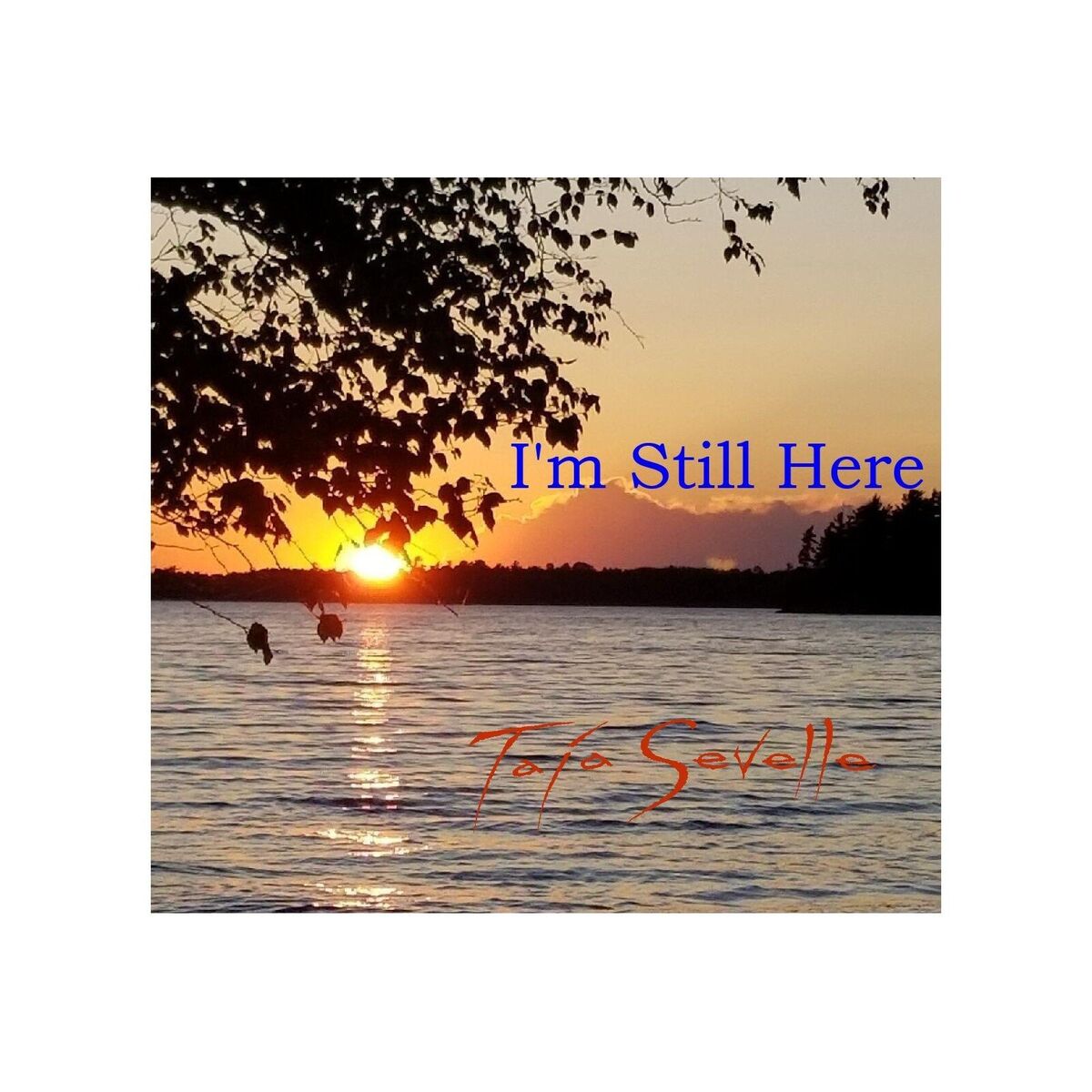 Album cover of I'm Still Here