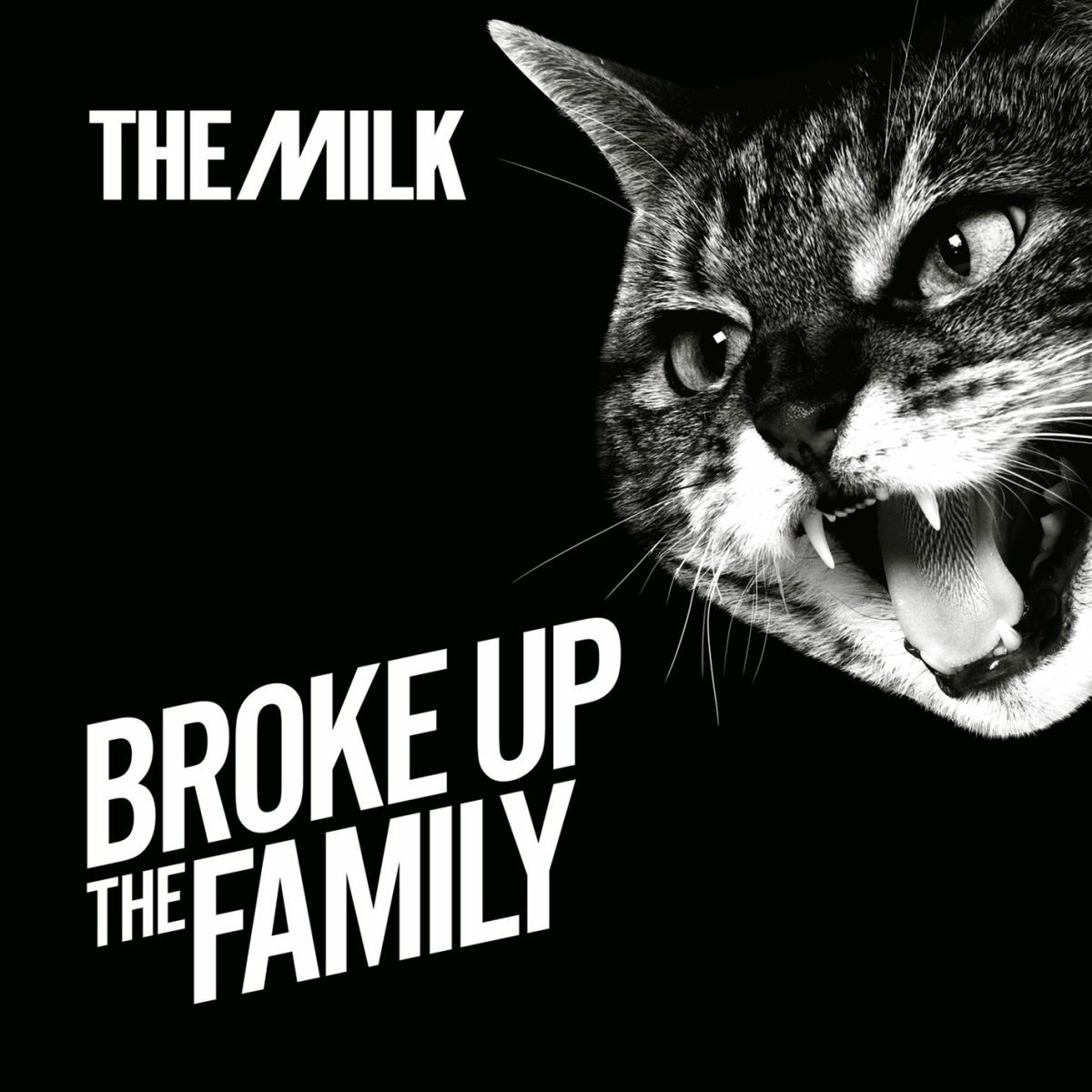 Album cover of Broke Up The Family