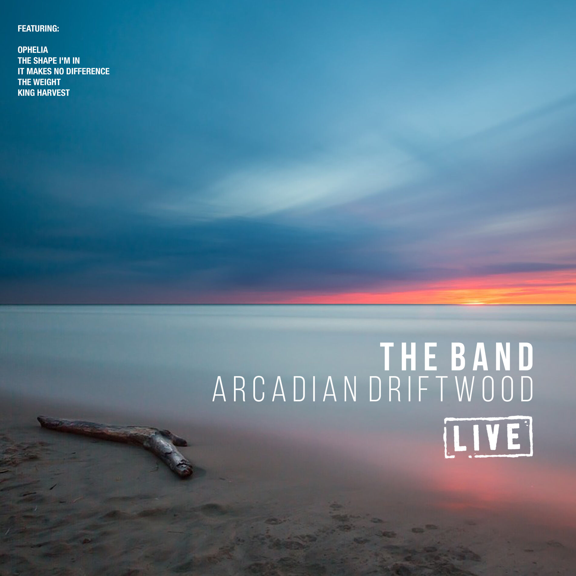 Album cover of Arcadian Driftwood (Live)