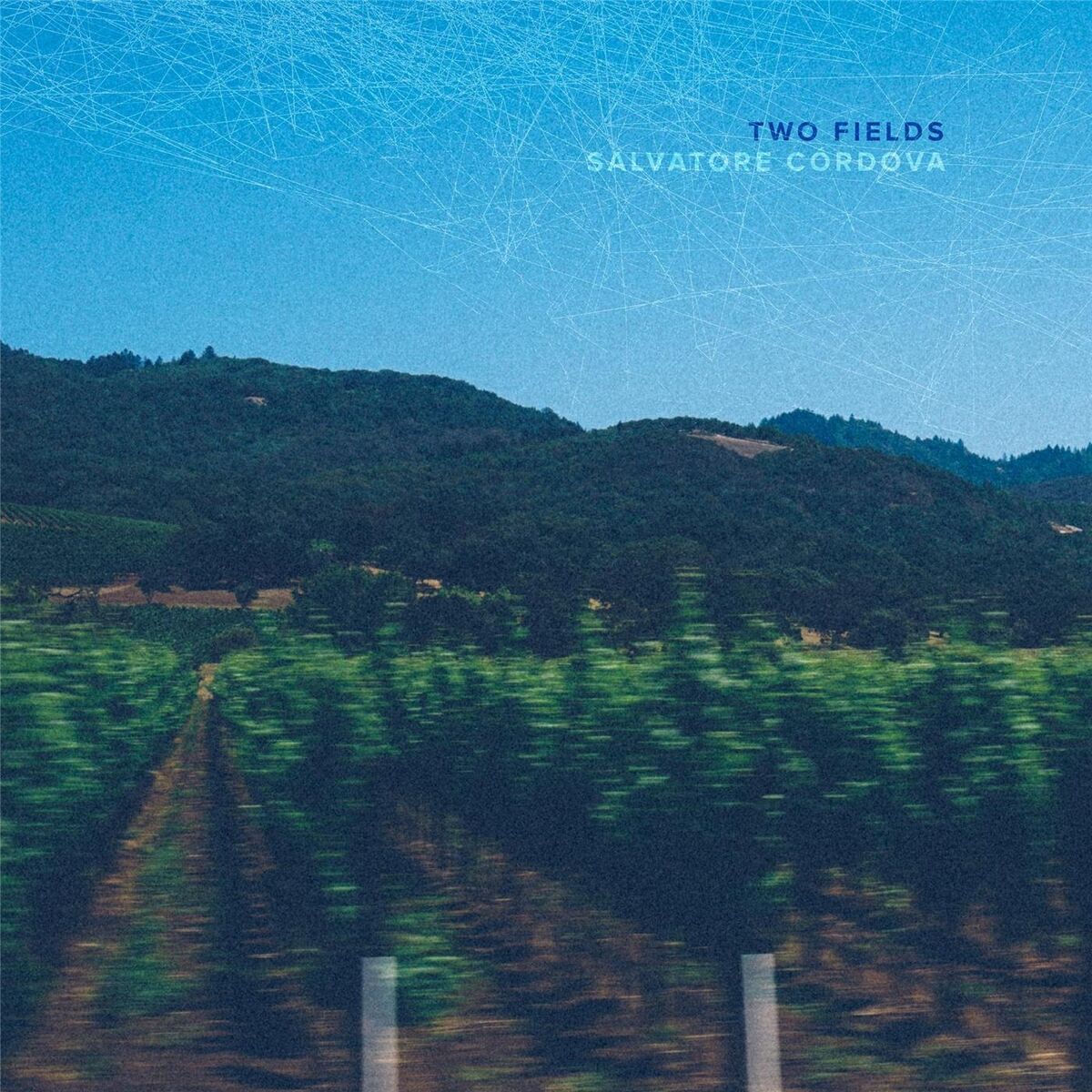 Album cover of Two Fields