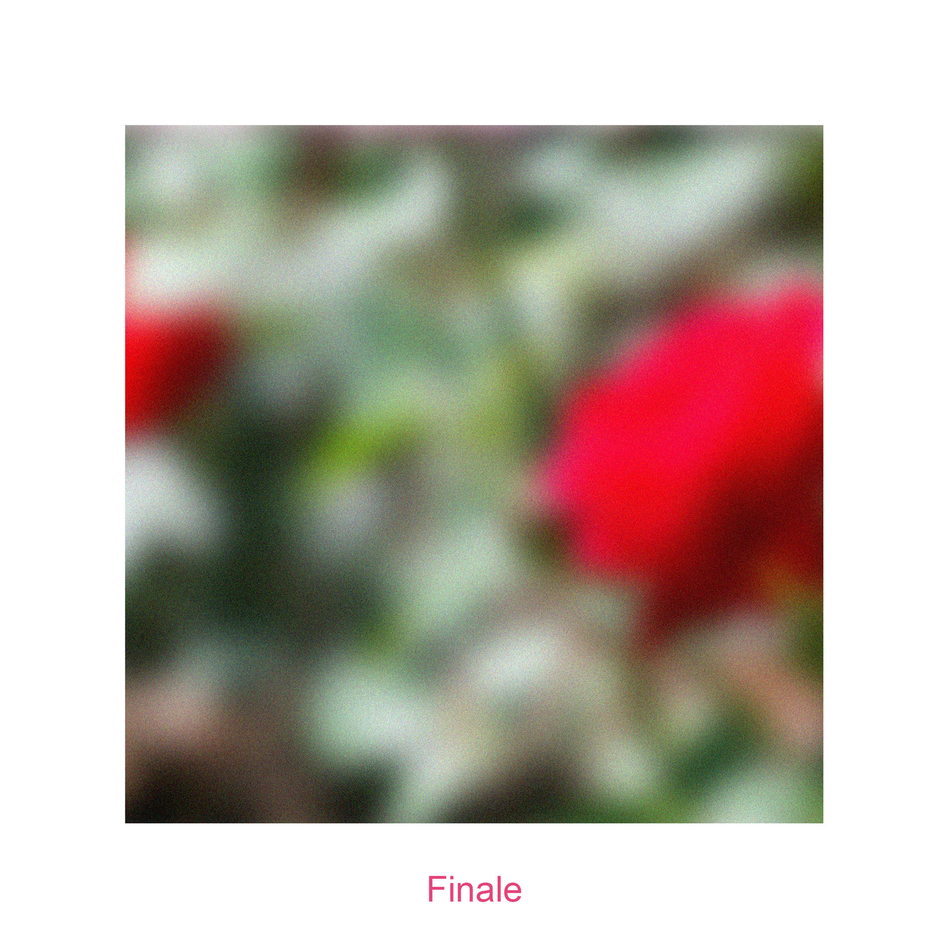 Album cover of Finale