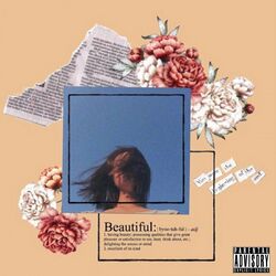 Cover of Beautiful