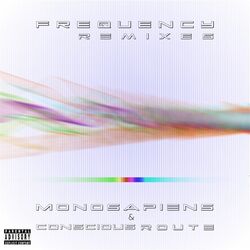 Cover of Frequency Remixes