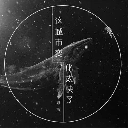 这城市变化太快了