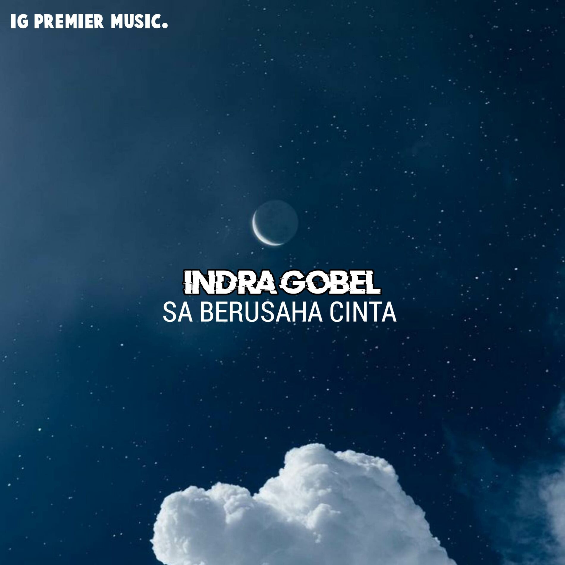 Album cover of SA BERUSAHA CINTA