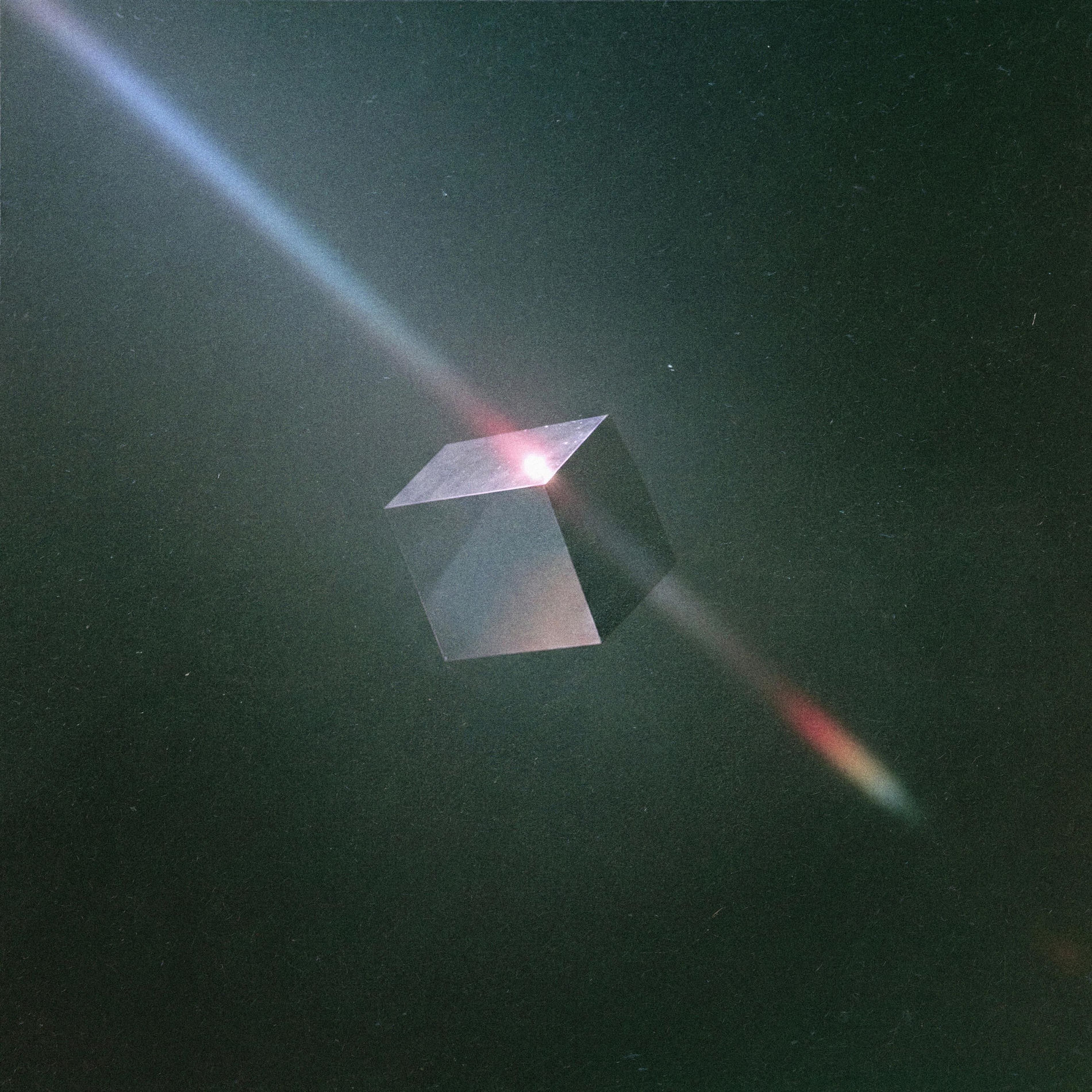 Album cover of the rise