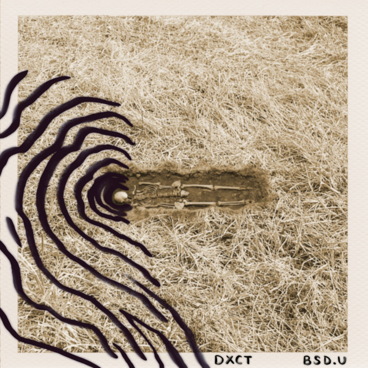 Album cover of Suboxone