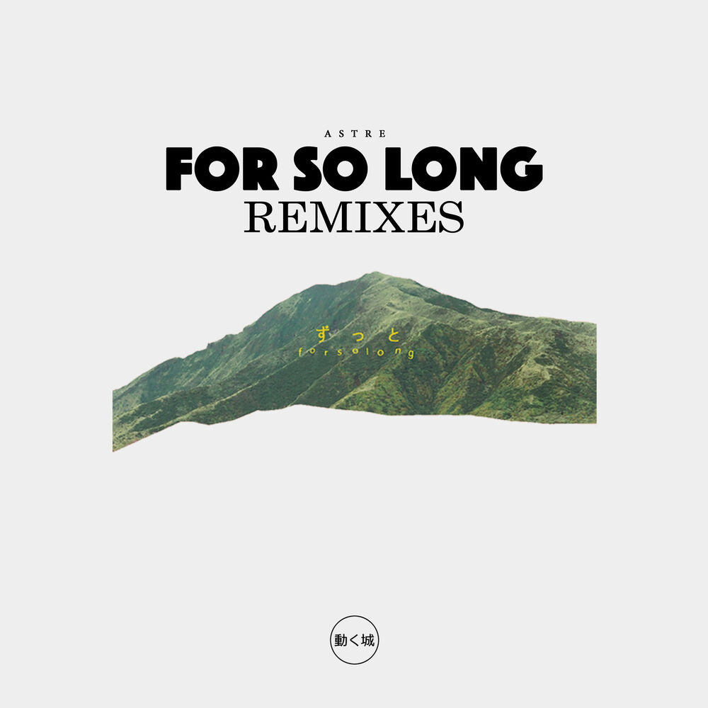 Picture of For so Long (Remixes)
