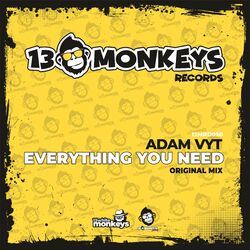 Cover of Everything You Need (Radio Edit)
