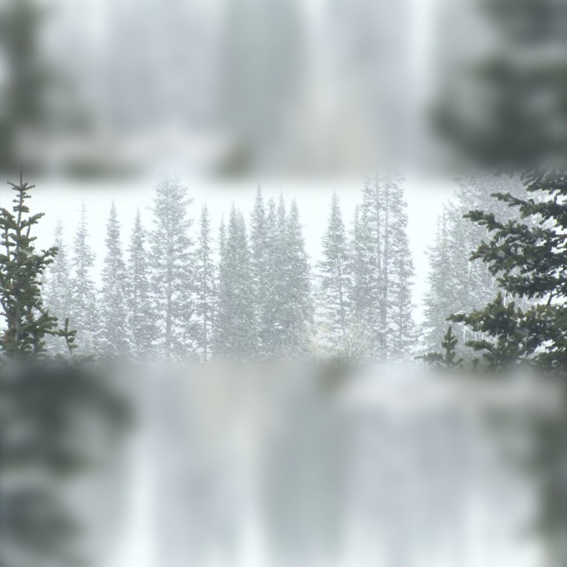 Album cover of White Noise for Sleep