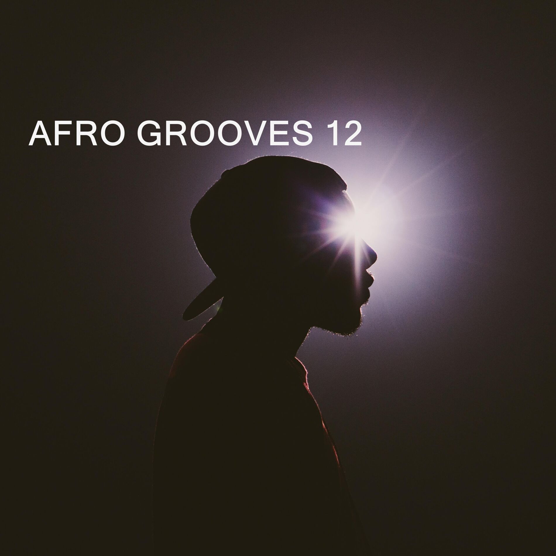 Album cover of AFRO GROOVES 12