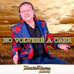 Cover of No Volveré a Caer