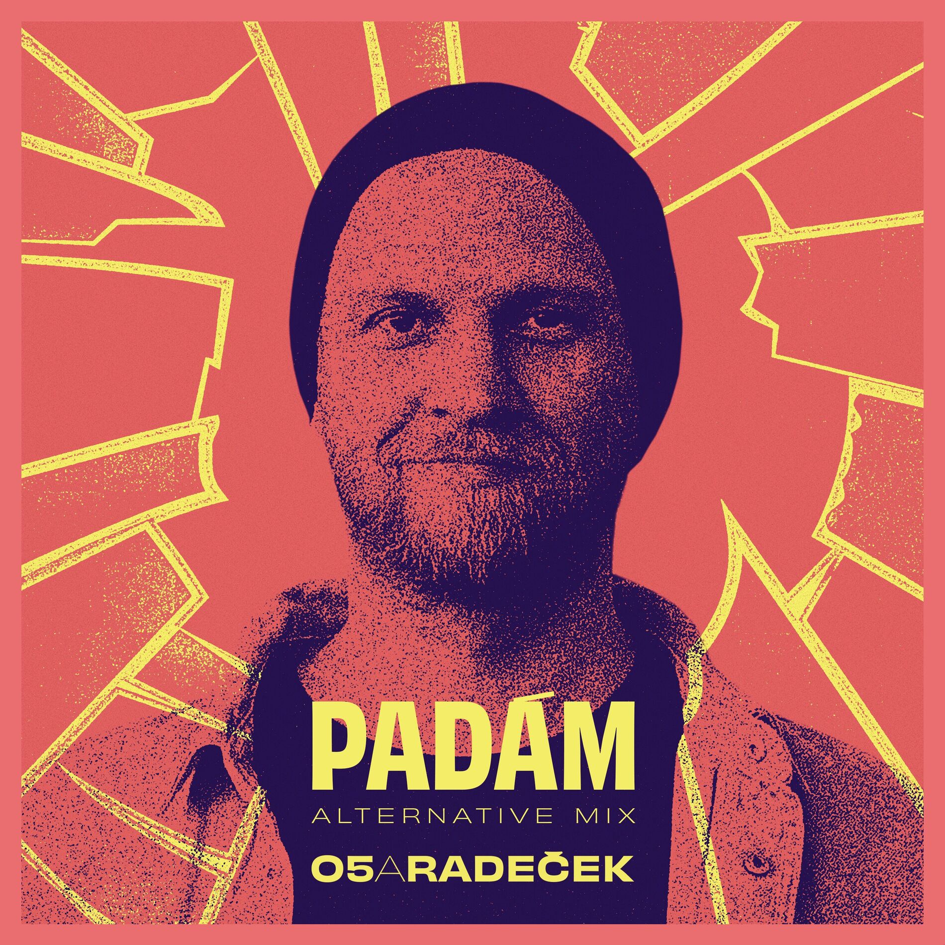 Album cover of Padám (Alternative Mix)